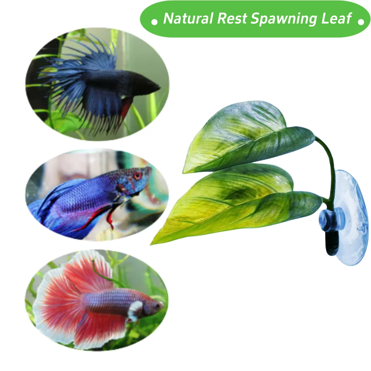 애완동물 어항 장식 베타 휴식 놀이 식물 잎 수족관 장 - Aquarium Plant Design 리뷰 및 가격