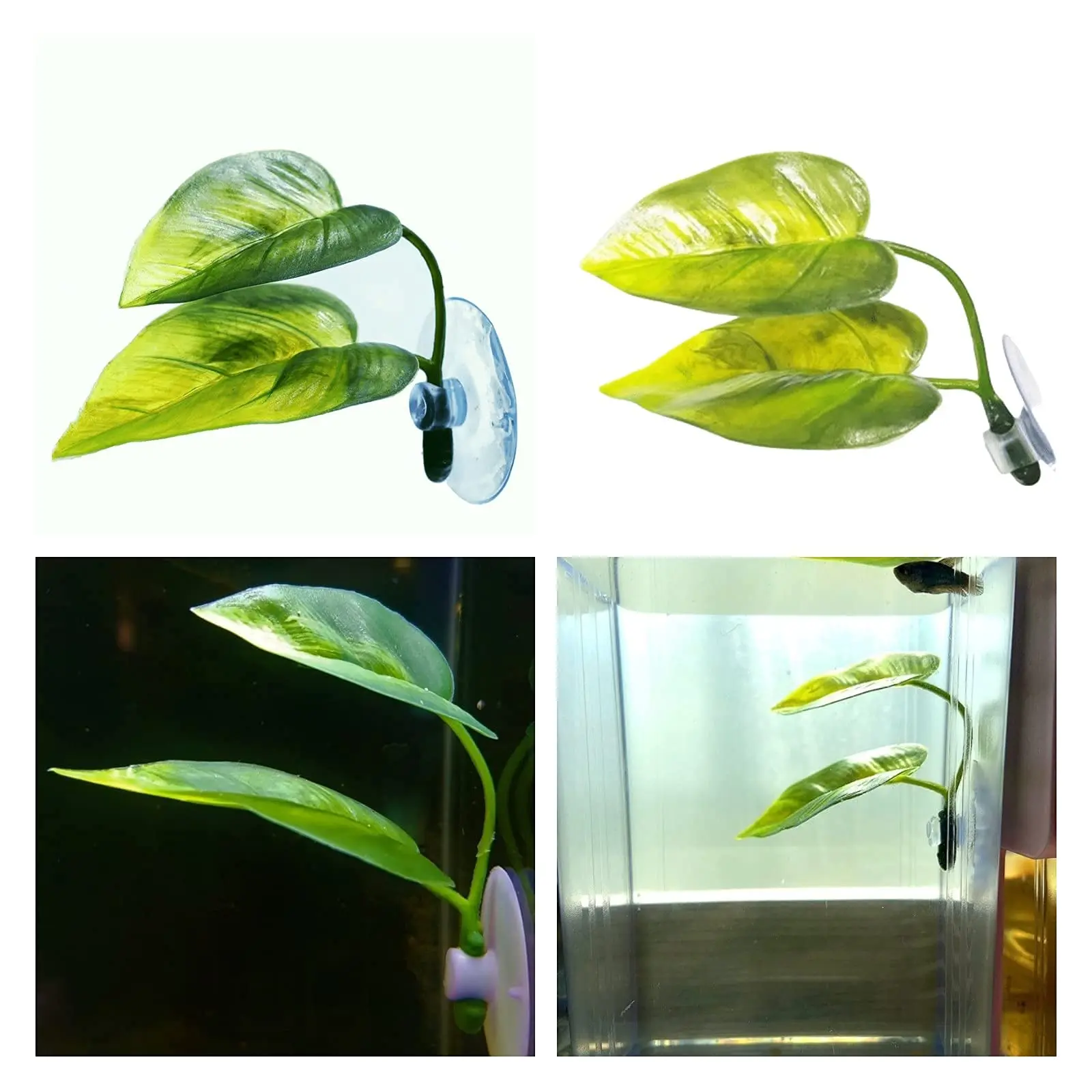 애완동물 어항 장식 베타 휴식 놀이 식물 잎 수족관 장 - Aquarium Plant Design 리뷰 및 가격