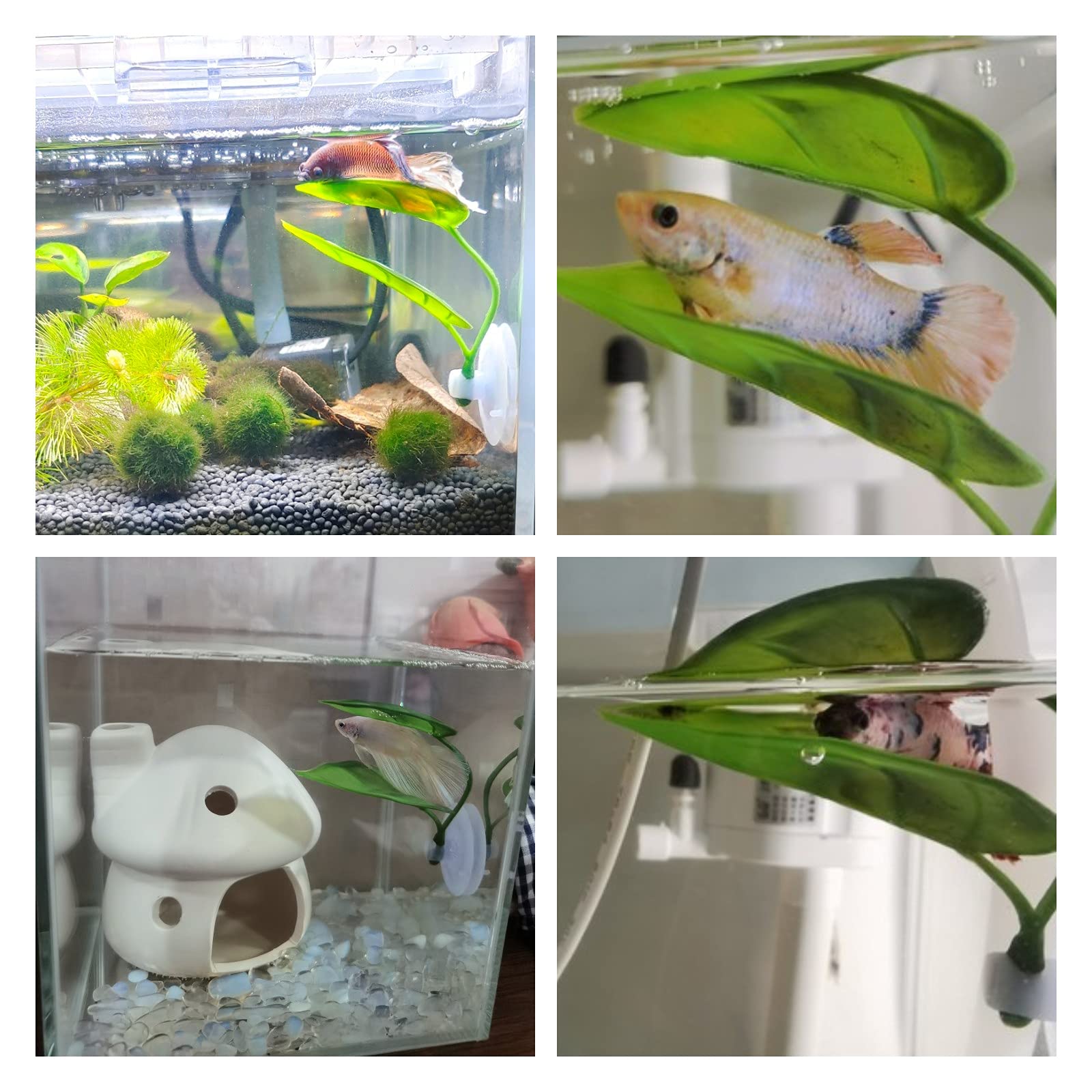 애완동물 어항 장식 베타 휴식 놀이 식물 잎 수족관 장 - Aquarium Plant Design 리뷰 및 가격