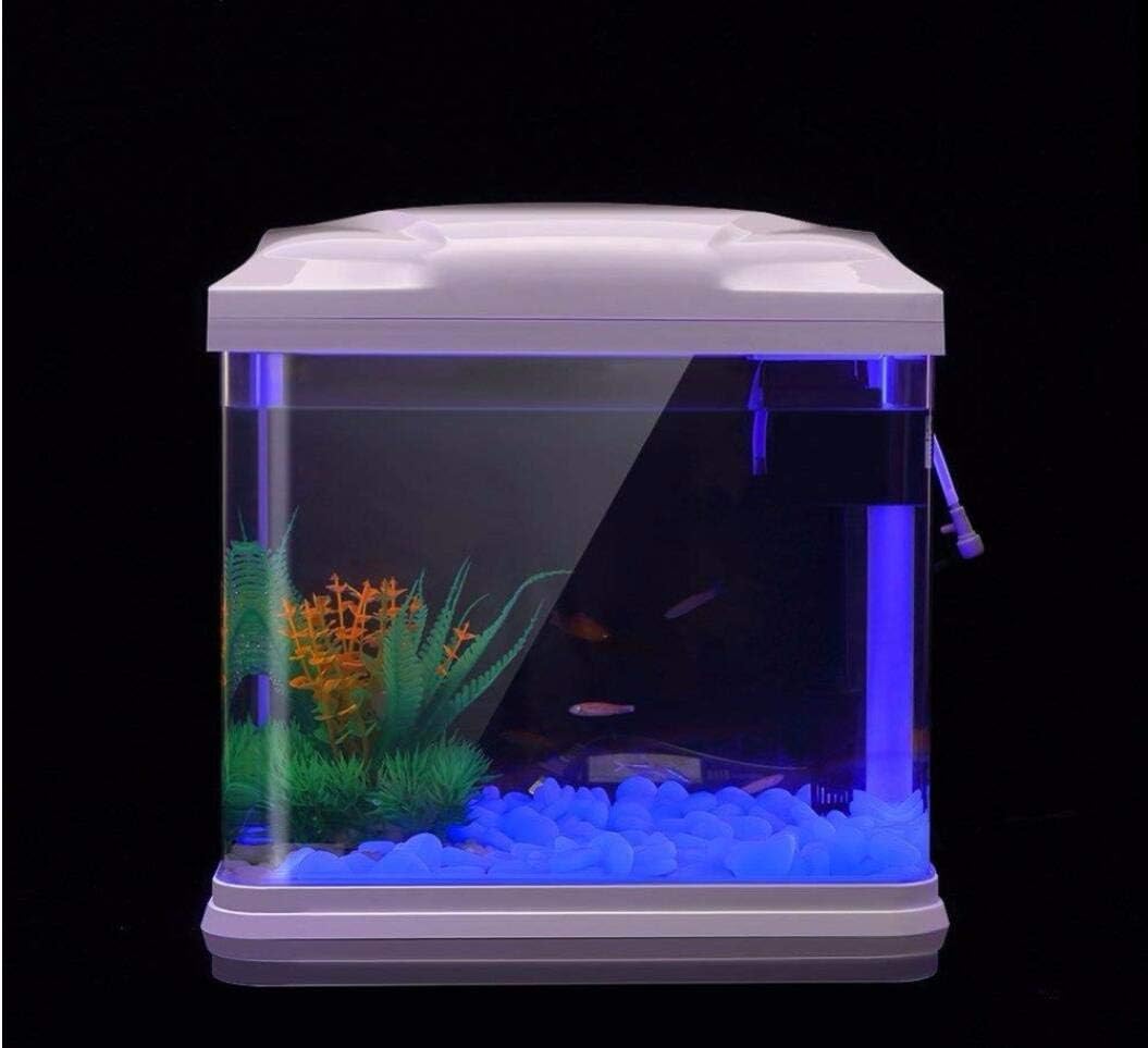 물고기 탱크 바위 정원 물고기 탱크 수족관 식물 냄비  - Aquarium Planted Fish Tank 리뷰 및 가격