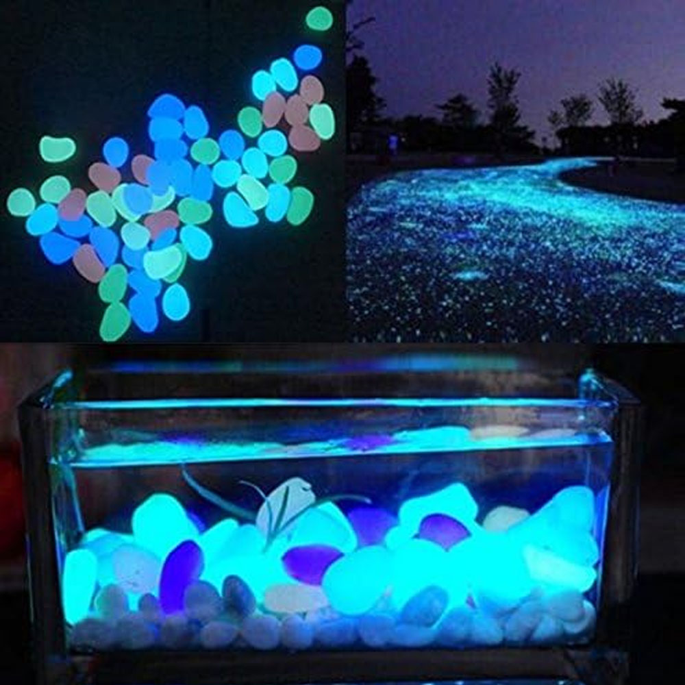 물고기 탱크 바위 정원 물고기 탱크 수족관 식물 냄비  - Aquarium Planted Fish Tank 리뷰 및 가격