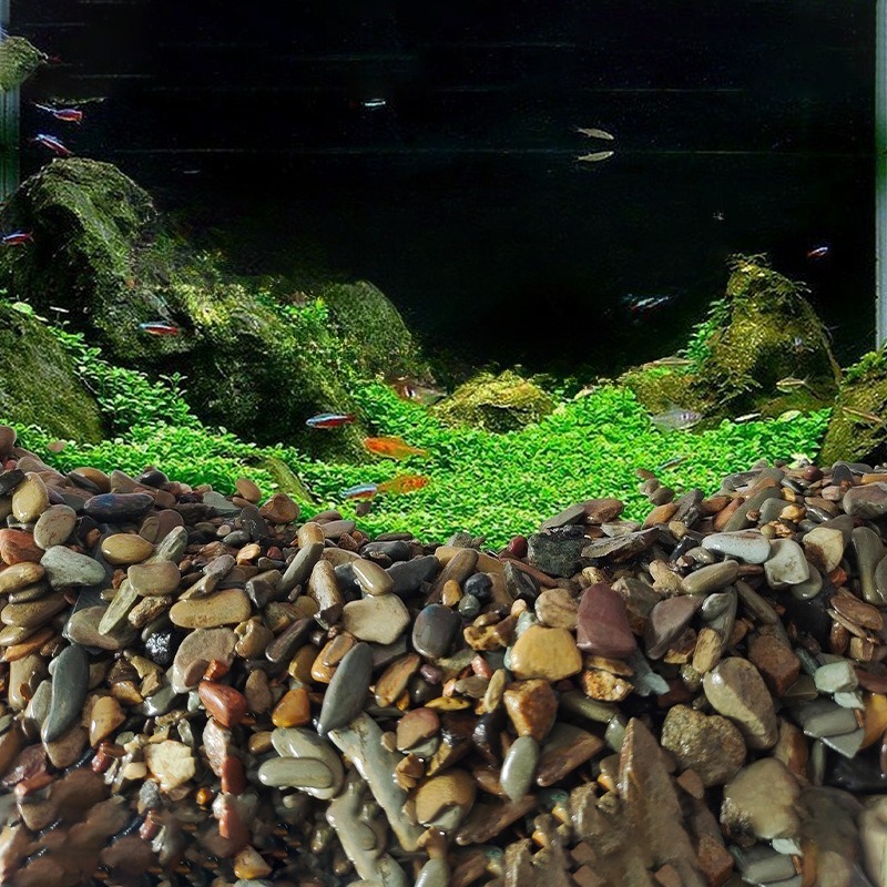 스트림 페블스 수족관 바닥 모래 네이티브 아쿠아스케이프 - Planted Aquarium With Sand 리뷰 및 가격