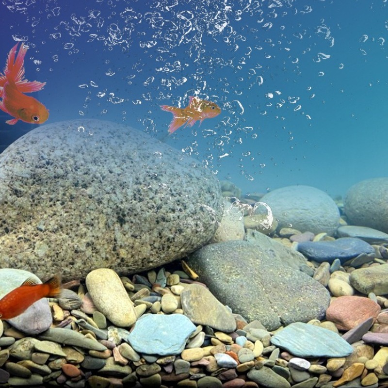 스트림 페블스 수족관 바닥 모래 네이티브 아쿠아스케이프 - Planted Aquarium With Sand 리뷰 및 가격