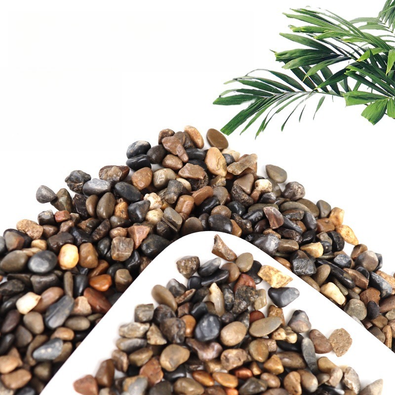 스트림 페블스 수족관 바닥 모래 네이티브 아쿠아스케이프 - Planted Aquarium With Sand 리뷰 및 가격