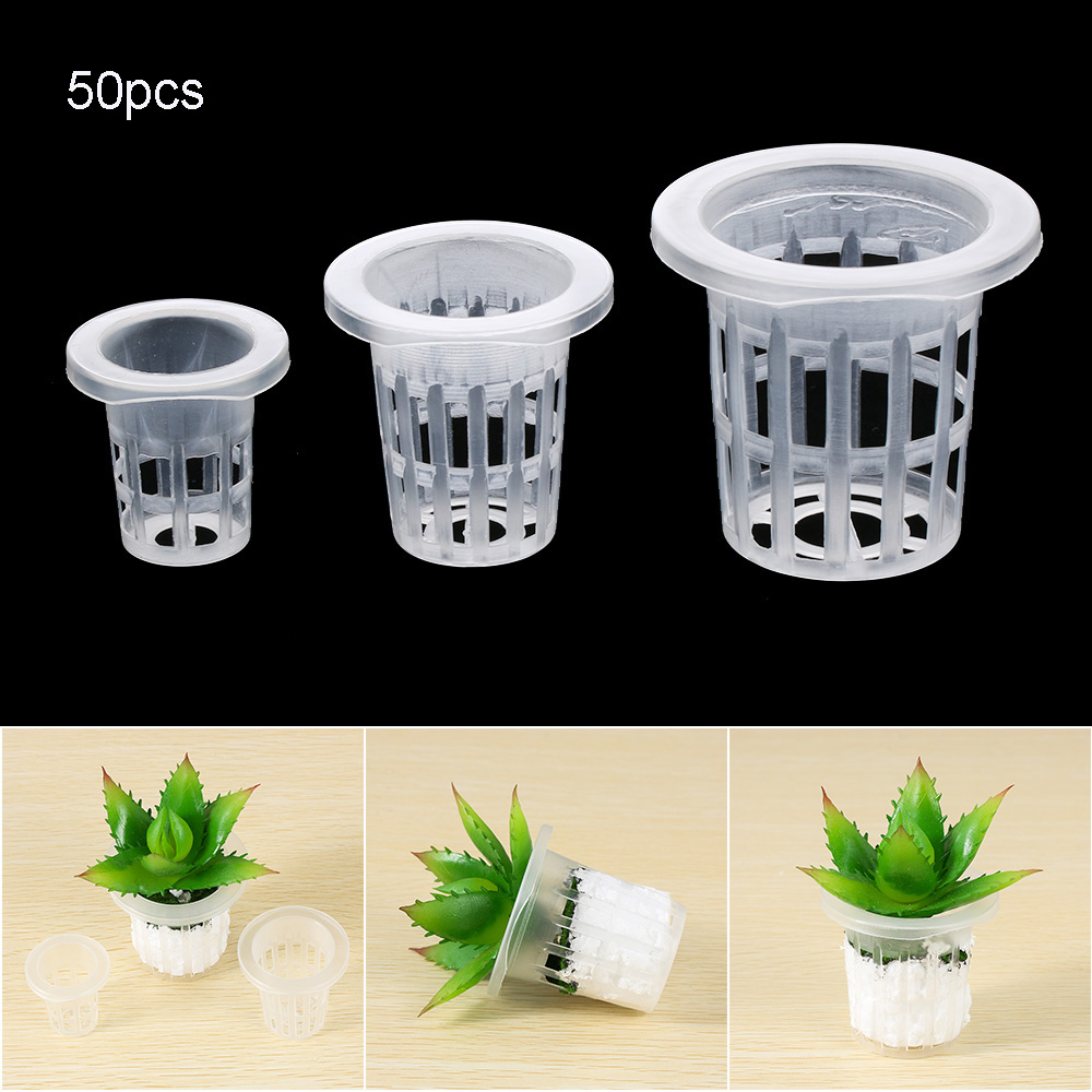 10/50개 정원 용품 수족관 식물 재배 무토양 수경재 - Aquarium Planted Seeds 리뷰 및 가격