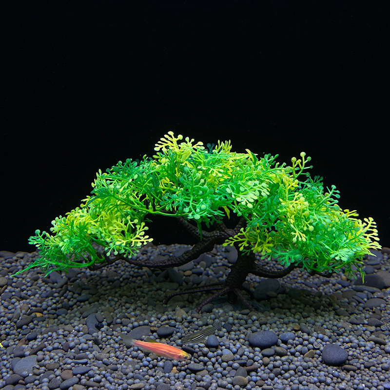 수족관 분재나무, 식물, 어항장식, 인공식물, 꽃장식, - Aquarium Planted Seeds 리뷰 및 가격