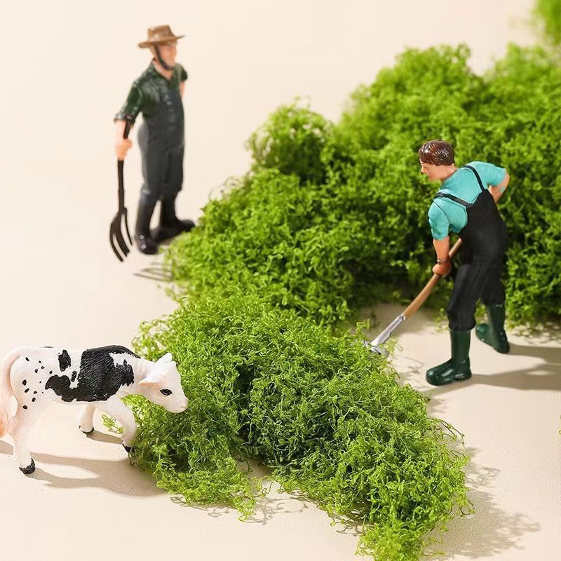 30/100g 인공 녹색 식물 이끼 영원한 생명 이끼  - Aquarium Plant Seeds 리뷰 및 가격