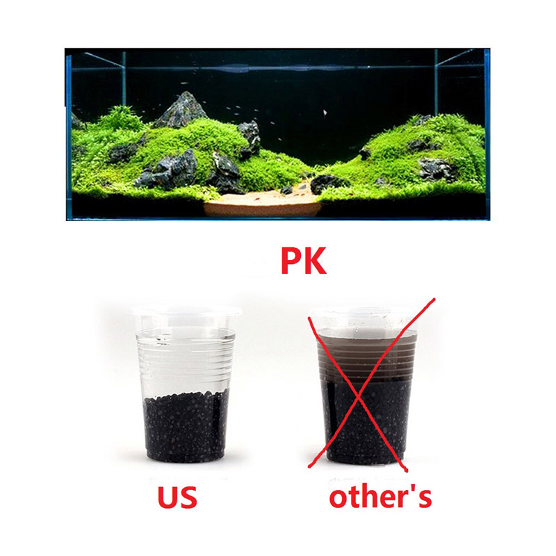 물고기 모래 Auarium 기판 100g 다육 식물을위 - Planted Aquarium With Sand 리뷰 및 가격