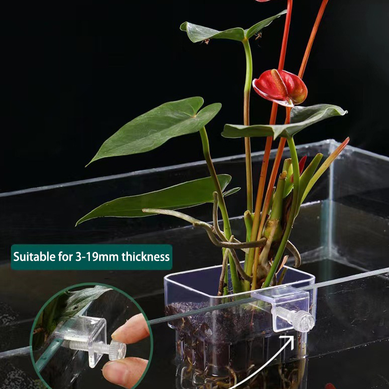 다기능 물고기 수족관 물 잔디 심기 컵, 사육 격리 상 - Aquarium Planted Fish Tank 리뷰 및 가격