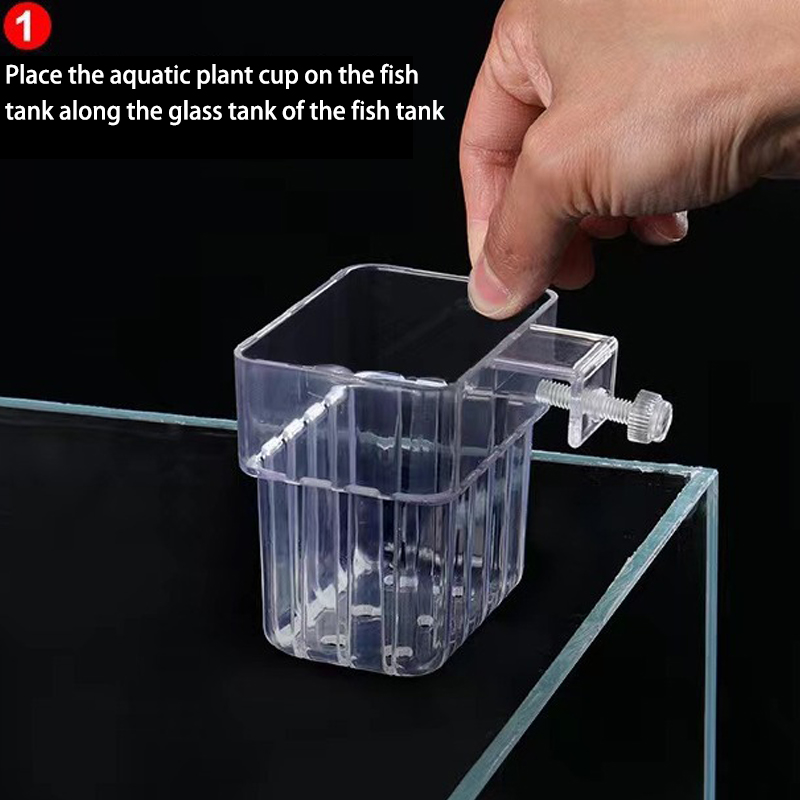 다기능 물고기 수족관 물 잔디 심기 컵, 사육 격리 상 - Aquarium Planted Fish Tank 리뷰 및 가격