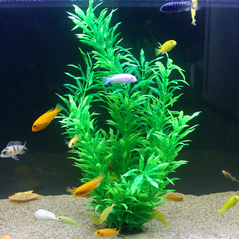 50CM 인조 어항 희귀 식물 수족관 가짜 대나무 잎  - Aquarium Planted Fish Tank 리뷰 및 가격