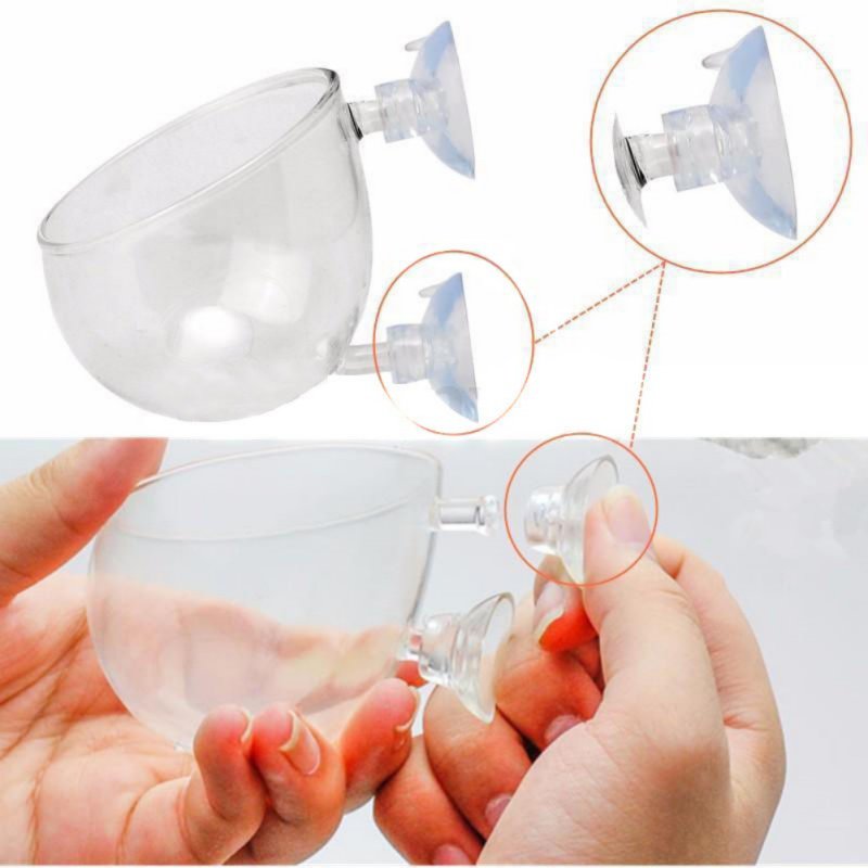 수족관 행잉 식물 화분 유리 실린더 컵, 빨판 포함,  - Aquarium Plant Seeds 리뷰 및 가격