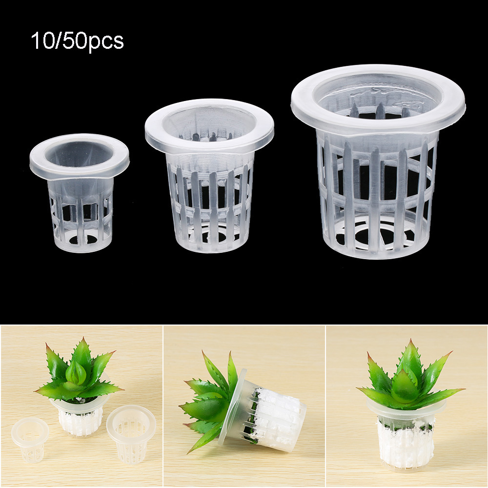 10/50개 내구성 있는 수경재배용 무토양 씨앗 트레이 - Aquarium Planted Seeds 리뷰 및 가격