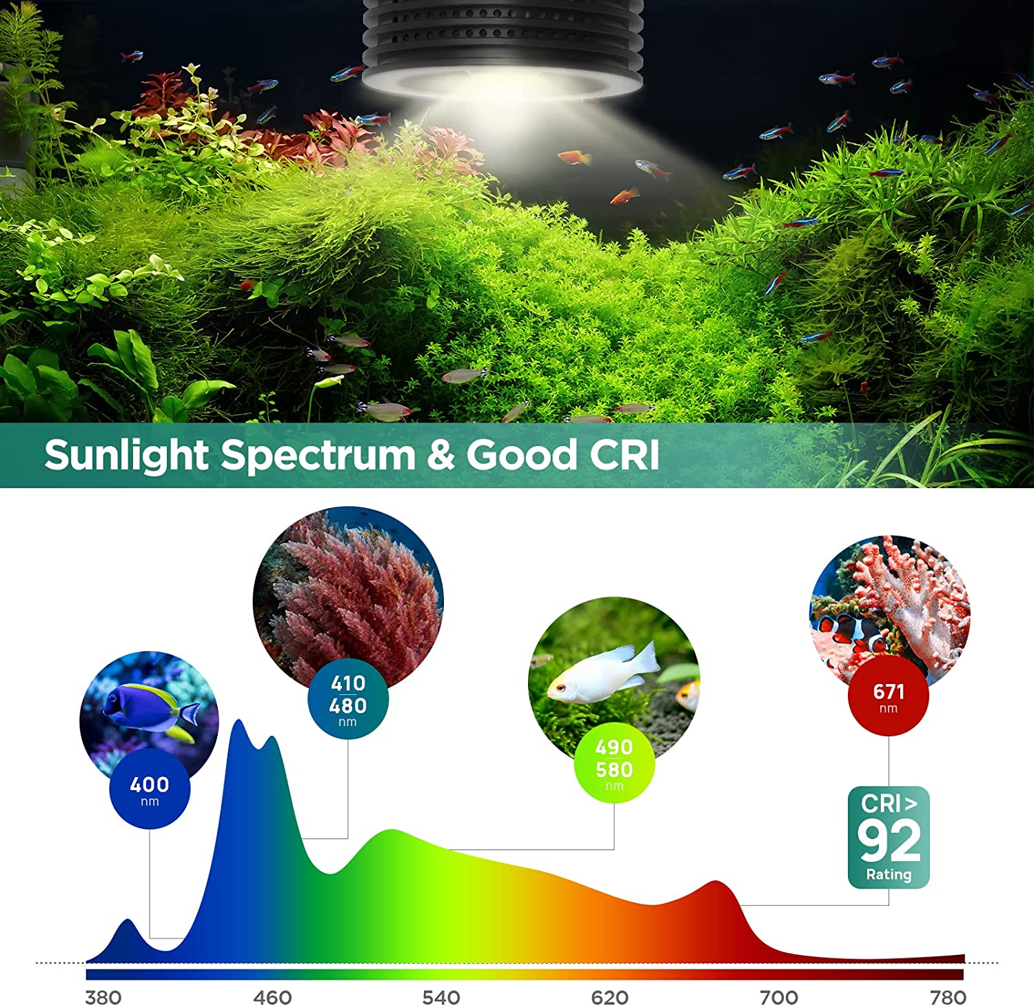 Lominie Asta 20 민물 18W RGBW+UV - Planted Aquarium Uv Light 리뷰 및 가격