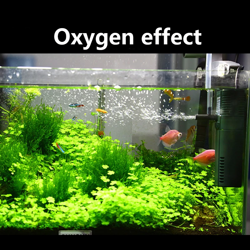 SUNSUN 미니 나노 수중 산소 펌프, 물고기 거북이 - Aquarium Planted Tank Filter 리뷰 및 가격